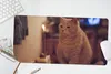MuchoWow® Mauspad Mousepad Katze - Geburtstag - Kerze 60x30 Produktbild-Vorschau 5