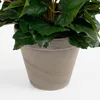 Mica Decorations Fleur artificielle Begonia - 36x36x37 cm - Voir les images du produit 5