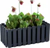 Prosperplast Blumetopf | Boardee Fencycase W | Anthrazit | Produktbild-Vorschau 5