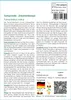 SAFLAX - Tamarinde - Tamarindus indica - 4 Samen - Mit Produktbild-Vorschau 3