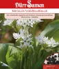 Dürr-Samen - Bärlauch/ Waldknoblauch - Saatgut - 0071 Produktbild-Vorschau 2