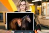 MuchoWow® Laptop Aufkleber Sticker Cover Pferde - Tiere - Produktbild-Vorschau 5