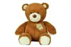 A brown teddy bear is sitting on a white background. Náhľad obrázku produktu