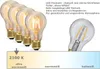 Illu-/Partylichterkette 50m - Außenlichterkette grün - 50x E27 EDISON LED Filamentlampen Produktbild-Vorschau