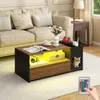 Puluomis Table basse avec niche pour chat, table basse avec Voir les images du produit 7