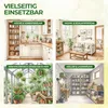 Fenster Mückenfallen mit Spezial-Lockstoff – 9x Fallen – Produktbild-Vorschau 4
