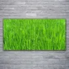 Glasbilder 120x60 Wandbild Druck auf Glas Gras Natur Produktbild-Vorschau 2