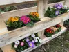 set de 12 bacs à fleurs Balconnière Insert adapté aux Voir les images du produit 7