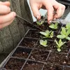 Hands planting seedlings in a tray. Voir les images du produit