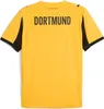 Puma Borussia Dortmund Cup BVB Jersey 25/26 Trikot 3rd Produktbild-Vorschau 4
