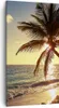 Bild auf Leinwand - Leinwandbild - Wolke exotischer Palm- Produktbild-Vorschau 1