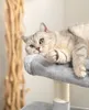 lionto Arbre à chat pour chats 80 cm, avec 2 grottes, lit Voir les images du produit 3