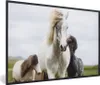MuchoWow® Gerahmtes Poster Pferde - Wolken - Island 90x60 Produktbild-Vorschau 1