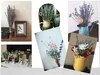 Bouquets de lavande séchée pour la décoration intérieure et Voir les images du produit 5
