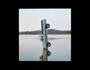Post Malone - F-1 Trillion (CD) Náhled obrázku produktu 2
