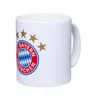FC Bayern München AG, Merchandising und Lizenzen FC Bayern Produktbild-Vorschau 1