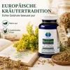 Echte Goldrute Solidago Goldrutenkraut 360 Kapseln - Nieren Produktbild-Vorschau 5