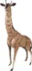 Clayre & Eef Figur Giraffe 37x14x59 cm Braun Eisen Produktbild-Vorschau 2