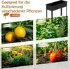 A collage showing a raised garden bed and examples of plants that can be grown in it, including fruits, herbs, flowers, and vegetables. Voir les images du produit