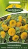 Sonnenblume, Niedrige Sonnengold Produktbild-Vorschau 5