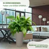 Hochkübel Lilia ECO Strip ø 19 / H=36 cm - creme Produktbild-Vorschau 5