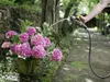 Kärcher Schlauch Performance Premium 1/2" - 20m Produktbild-Vorschau 2