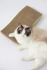 A cat is lying on a scratching pad. Voir les images du produit