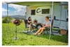 Einhell 3408071, Domácí vrtulový ventilátor, Černá, Náhled obrázku produktu 3
