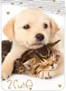 Golden Retriever - Hund & Katze - Wende-Bettwäsche-Set, Produktbild-Vorschau 3