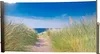 A pathway through tall grass leads to the ocean under a blue sky. Náhled obrázku produktu