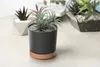 A close-up of a dark gray planter with a copper base, containing a small air plant. Another planter with a succulent is visible in the background. Náhled obrázku produktu