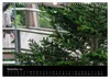 Bayerischer Wald (Wandkalender 2027 DIN A3 quer), CALVENDO Produktbild-Vorschau 6