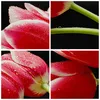 Bild auf Leinwand - Leinwandbild - Einteilig - Tulpe garten Produktbild-Vorschau 8