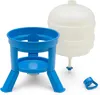Agrarzone Siphon Abreuvoir pour volaille 30 L Voir les images du produit 9