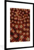 MuchoWow® Gerahmtes Poster Leopard - Muster - Rot 60x90 cm Produktbild-Vorschau 1