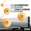 GEWO Tischtennisbälle Outdoor 40+, 6er Set, wasserabweisend Produktbild-Vorschau 4