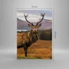 Bilder auf glas - Einteilig - Rehe Wiese Berge - 70x100cm - Produktbild-Vorschau 3