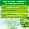 Purgrün Hydroponik-Dünger 1 Liter, Produktbild-Vorschau 3