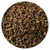 Cardamomo di Malabar, semi sgusciati, 1 kg Anteprima dell’immagine prodotto 2