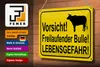 Blechschild Hinweis 30x20cm Vorsicht freilaufender Bulle Produktbild-Vorschau 4