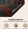KitchenYeah© Herdabdeckplatte Waldweg - Bäume - Weg durch Produktbild-Vorschau 4
