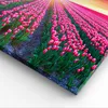 Bild auf Leinwand - Leinwandbild - Wiese Tulpen Produktbild-Vorschau 5