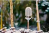 Gardena ClickUp! Kŕmidlo pre vtáky 11380-20 Náhľad obrázku produktu 2