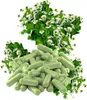 Mutterkraut 360 Pulver Kapseln - Migränekraut Feverfew nach Produktbild-Vorschau 9