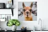 MuchoWow® Poster Lama - Selfie - Boom 50x50 cm - Produktbild-Vorschau 3