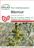 SAFLAX - vermút - Artemisia absinthum - 500 Semená Náhľad obrázku produktu 11
