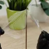A close-up of a clear hydrogel screen protector being applied to a device, with plants in the background. Produktbild-Vorschau