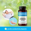Rhodiola (koen re) extrakt 250 mg 100 kapsl Náhled obrázku produktu 8