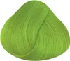 La Richè Directions Fluorescent Green 89 ml Produktbild-Vorschau 6