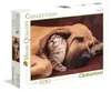 Clementoni 35020, 500 Stück(e), Tiere, 14 Jahr(e) Produktbild-Vorschau 8